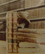 Biblioteca y Archivo histórico